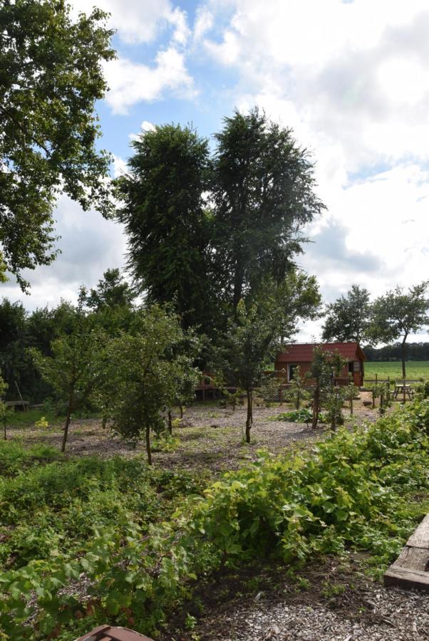 Hoeve Delshorst Heibloem Εξωτερικό φωτογραφία