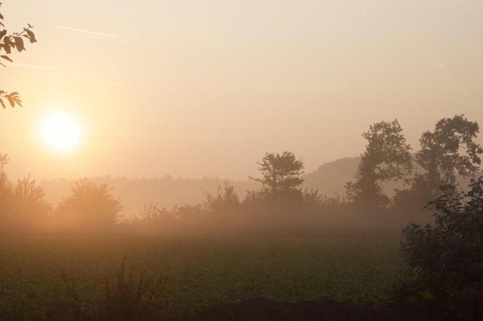 Hoeve Delshorst Heibloem Εξωτερικό φωτογραφία