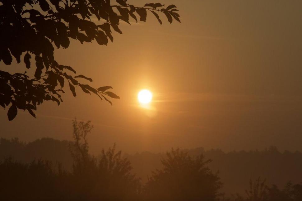 Hoeve Delshorst Heibloem Εξωτερικό φωτογραφία